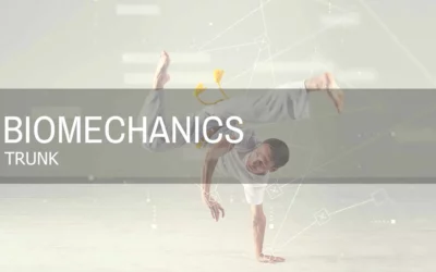 DESIGNED TO MOVE | TRUNK