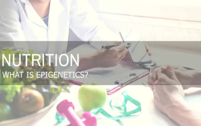 EPIGENETICS | OVERVIEW