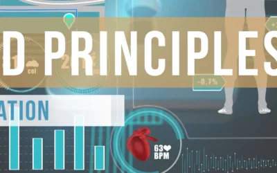 Periodization